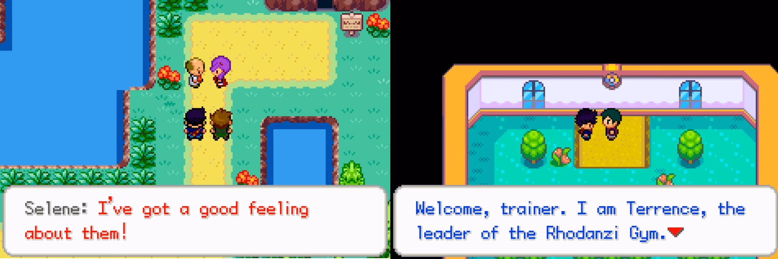 Pokémon Amethyst GBA (GBA) Gameplay Screenshot 2 - Gohan's Tips