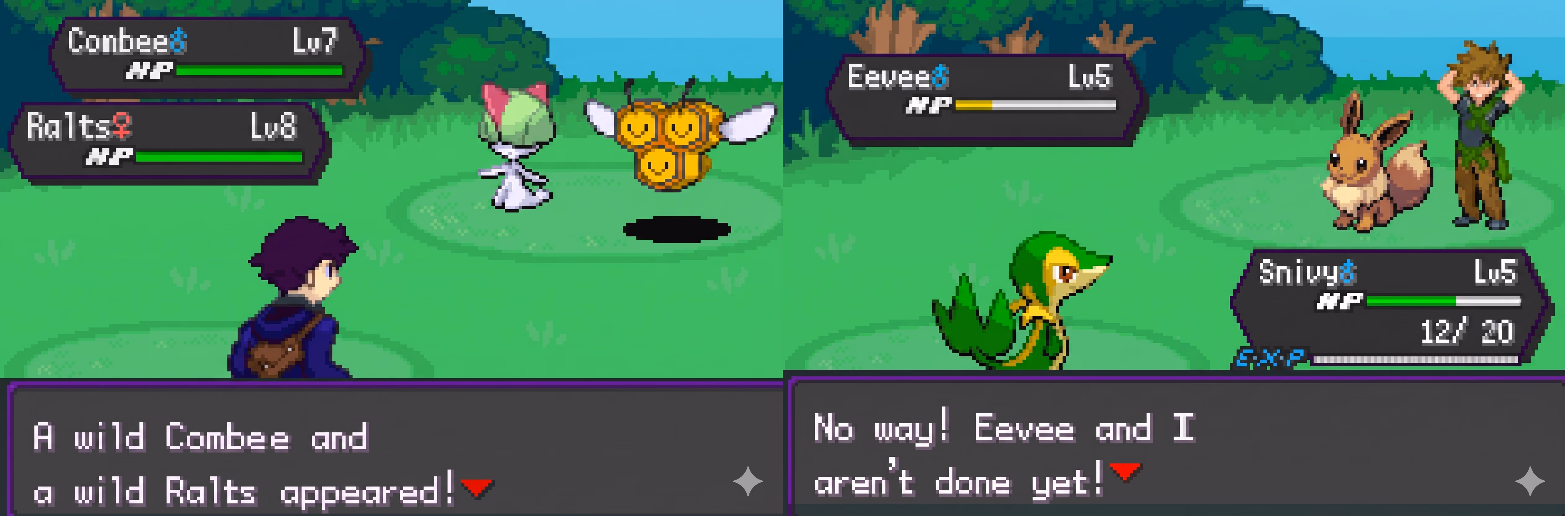 Pokémon Amethyst GBA (GBA) Gameplay Screenshot 3 - Gohan's Tips