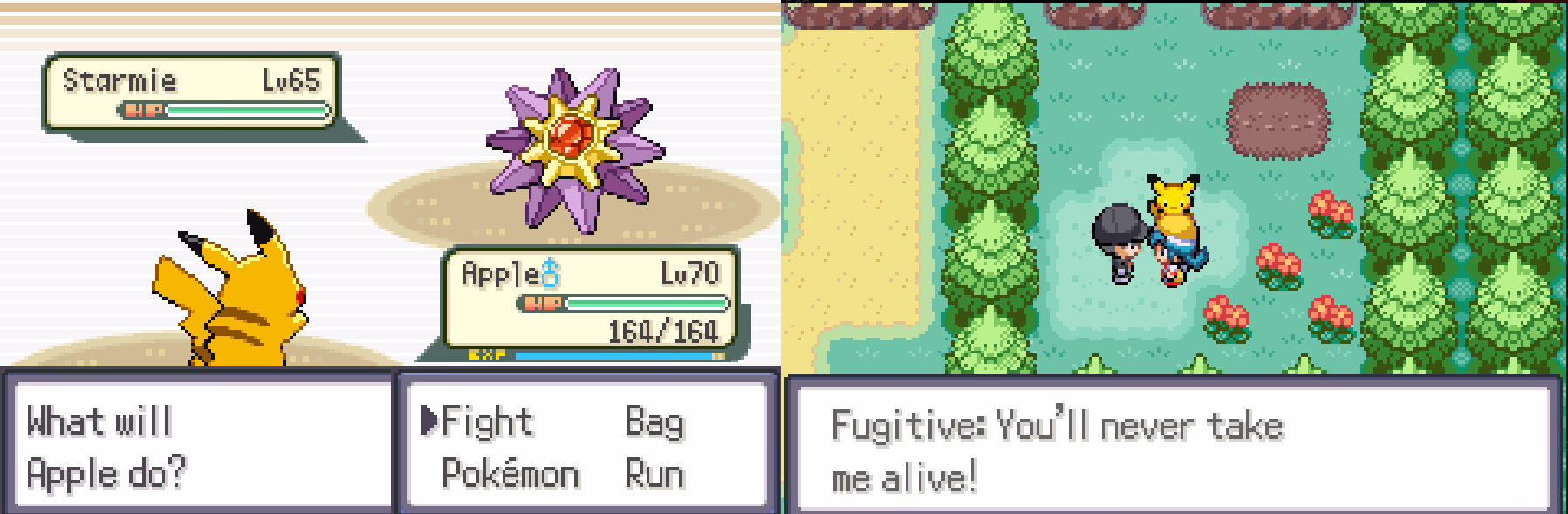 Pokémon Classic (GBA) Gameplay Screenshot 3 - Gohan's Tips