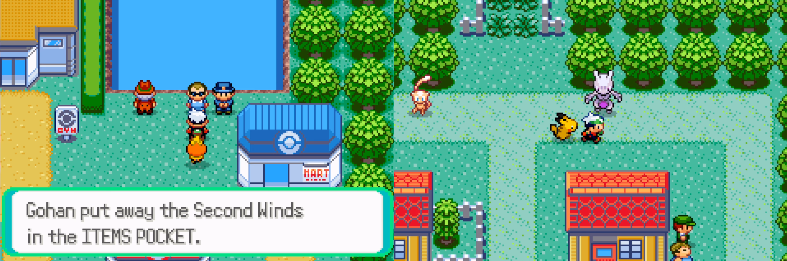 Pokémon Lithium (GBA) Gameplay Screenshot 4 - Gohan's Tips
