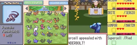 Pokémon Pokecave Almerald (GBA) Gameplay Screenshot 4 - Gohan's Tips