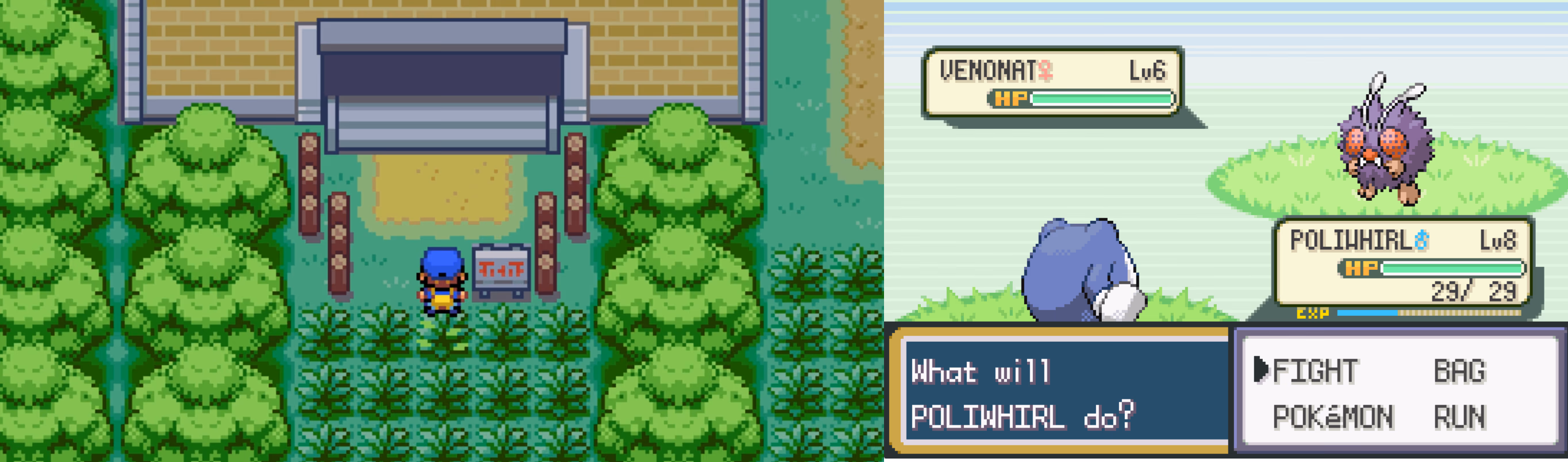 Pokémon Poliwhirl Version (GBA) Gameplay Screenshot 3 - Gohan's Tips
