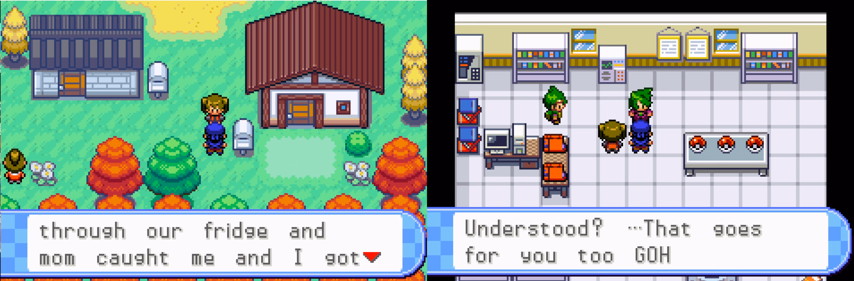 Pokémon Procyon (GBA) Gameplay Screenshot 3 - Gohan's Tips