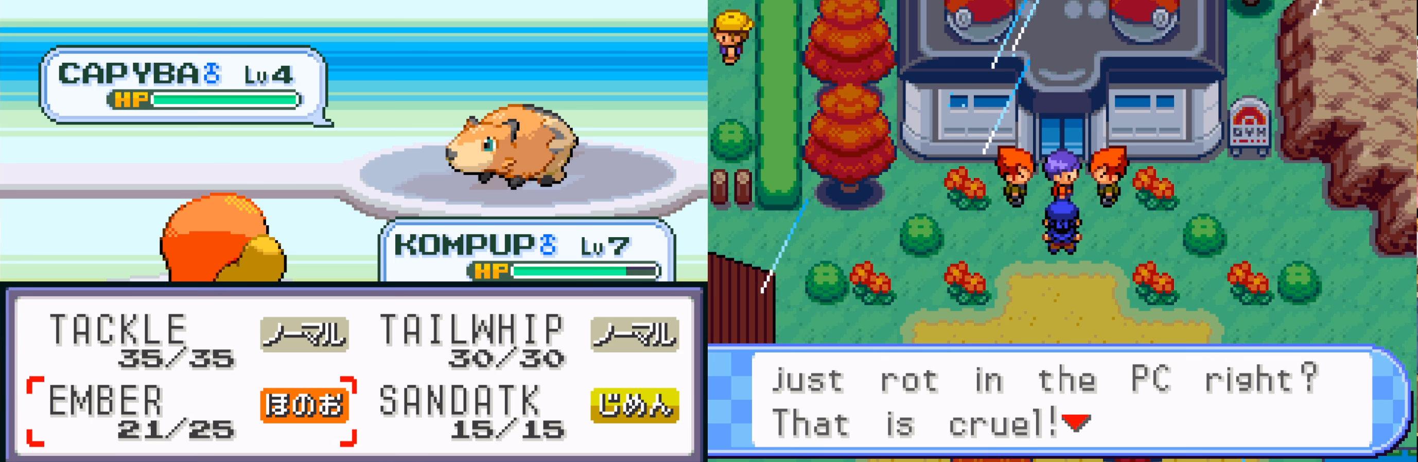 Pokémon Procyon (GBA) Gameplay Screenshot 4 - Gohan's Tips