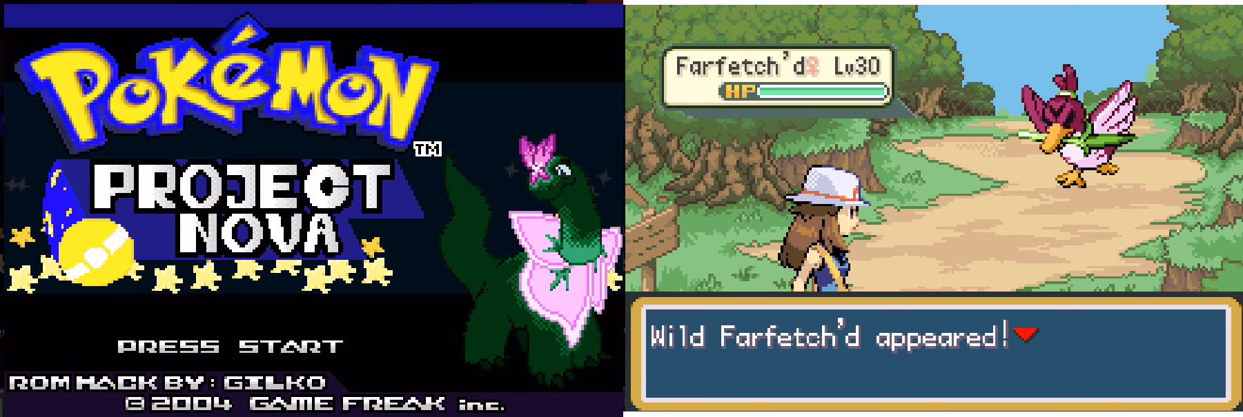 Pokémon Project Nova (GBA) Gameplay Screenshot 1 - Gohan's Tips