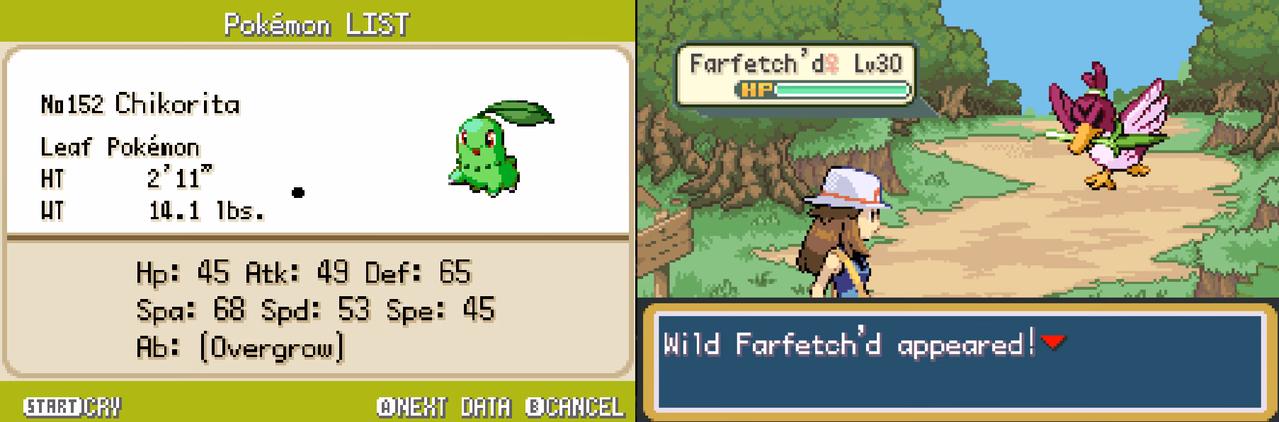 Pokémon Project Nova (GBA) Gameplay Screenshot 3 - Gohan's Tips