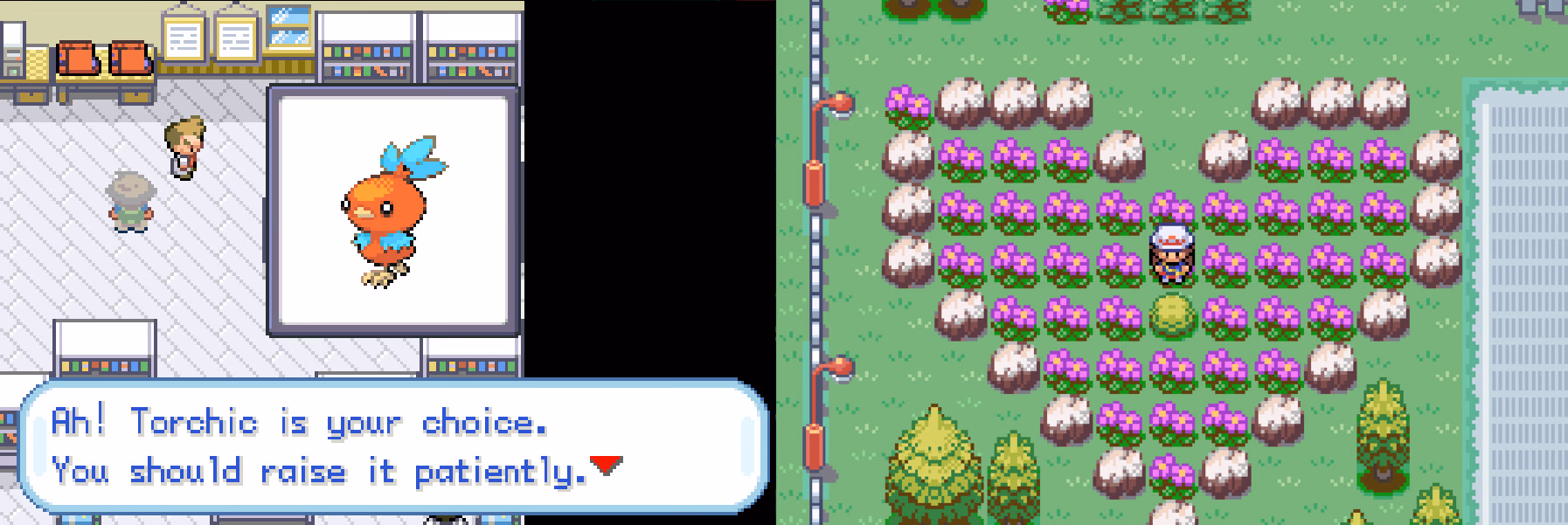 Pokémon Project Nova (GBA) Gameplay Screenshot 4 - Gohan's Tips