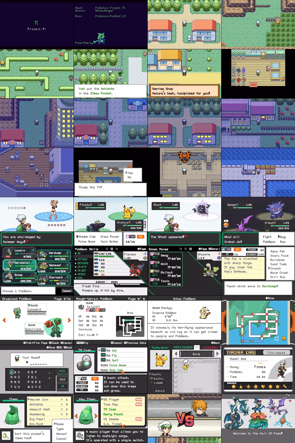 Pokémon Project Pi (GBA) Gameplay Screenshot 1 - Gohan's Tips