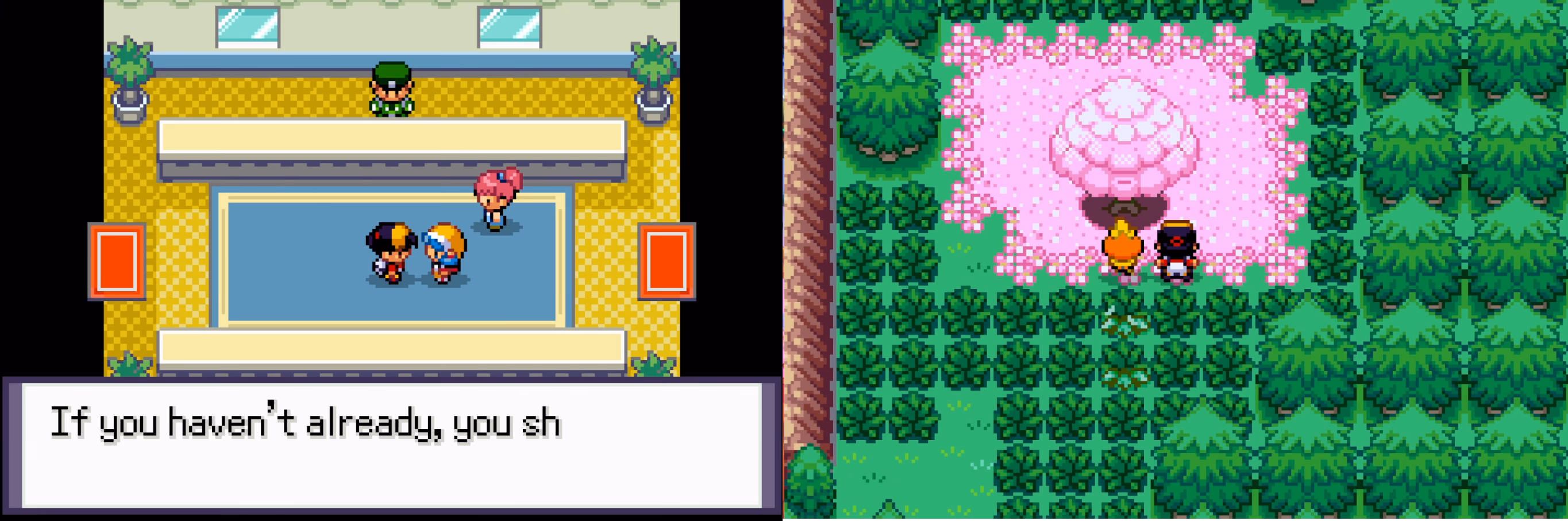 Pokémon Soulgold (GBA) Gameplay Screenshot 2 - Gohan's Tips