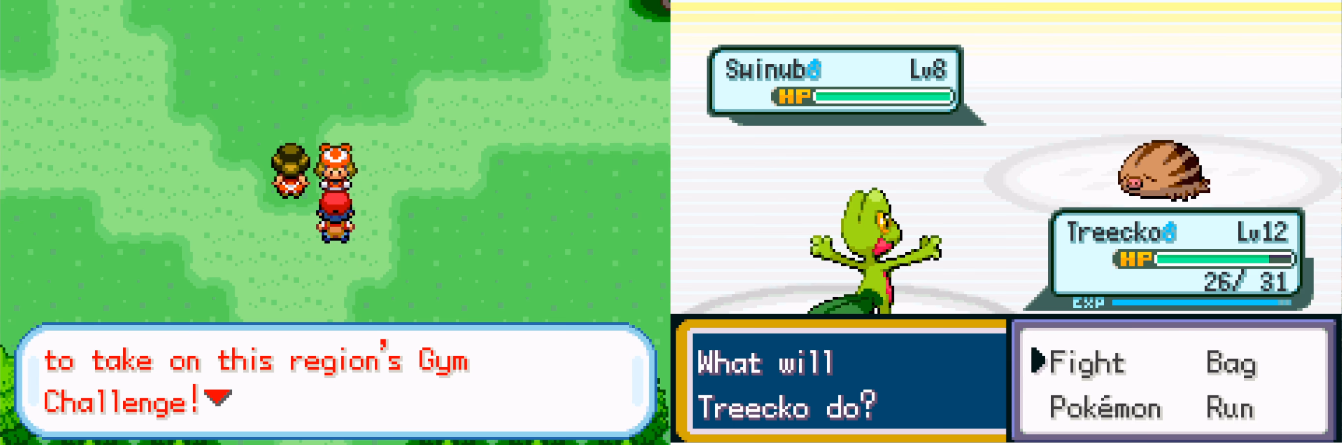Pokémon Spirit Version (GBA) Gameplay Screenshot 3 - Gohan's Tips