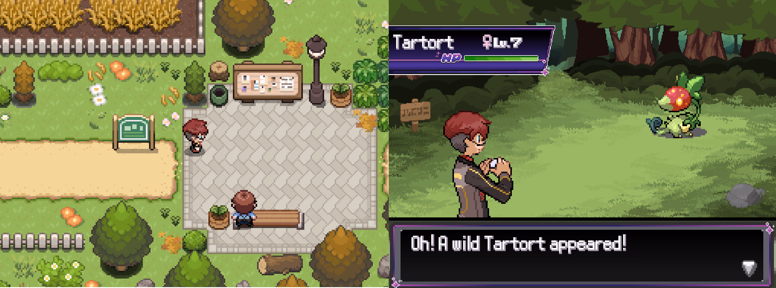 Pokémon Void (GBA) Gameplay Screenshot 4 - Gohan's Tips