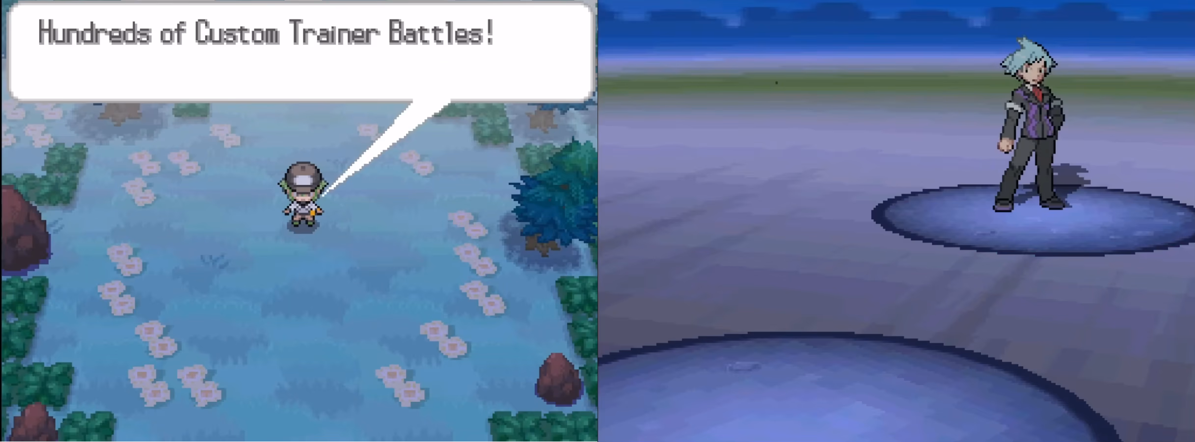 Pokémon Aether White 2 (NDS) Gameplay Screenshot 3 - Gohan's Tips