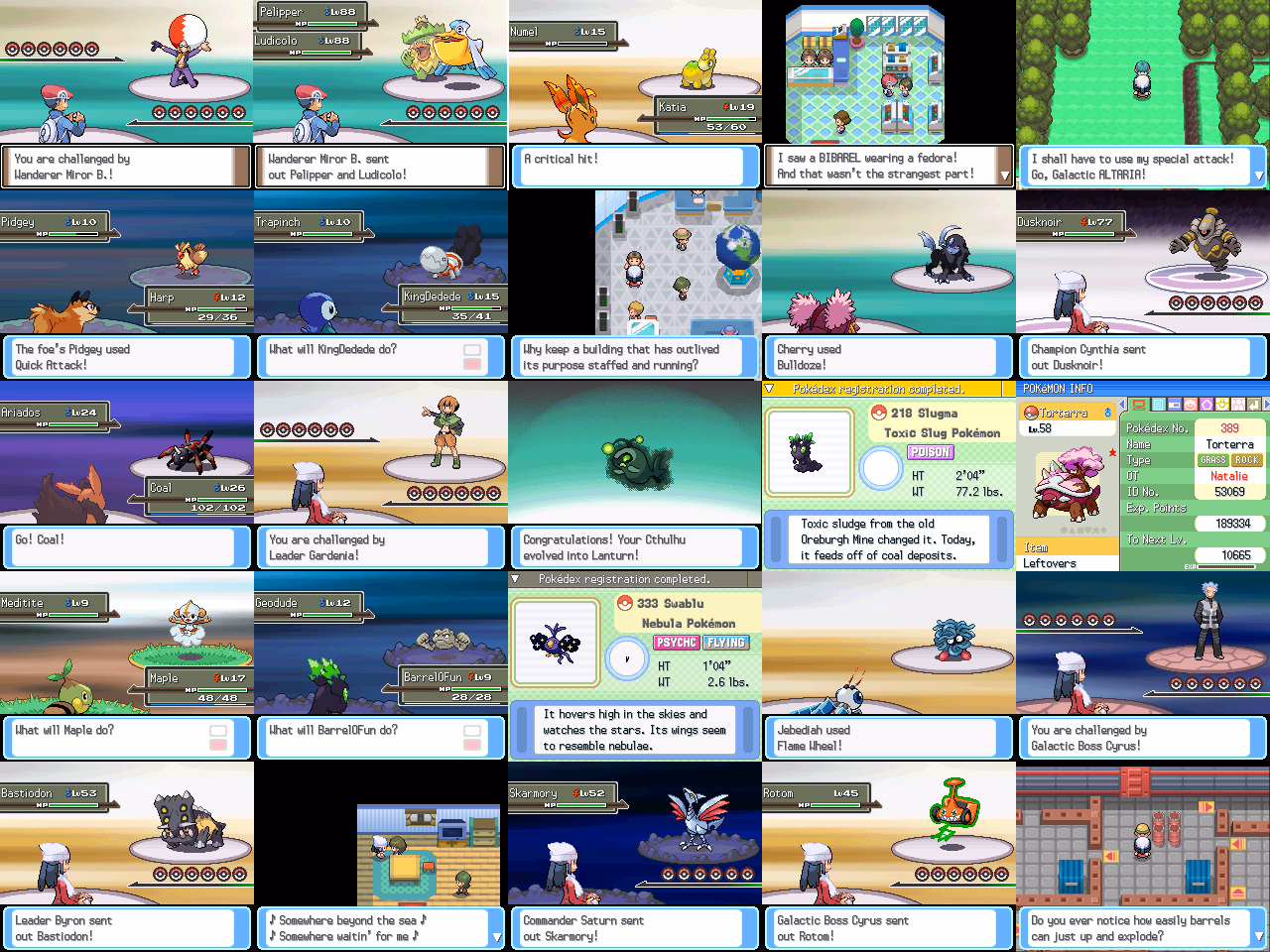 Pokémon Altered Platinum (NDS) Gameplay Screenshot 1 - Gohan's Tips