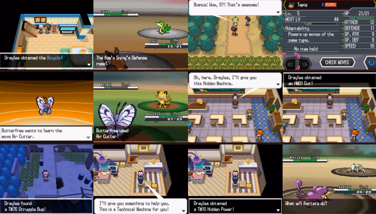Pokémon Blaze Black (NDS) Gameplay Screenshot 1 - Gohan's Tips