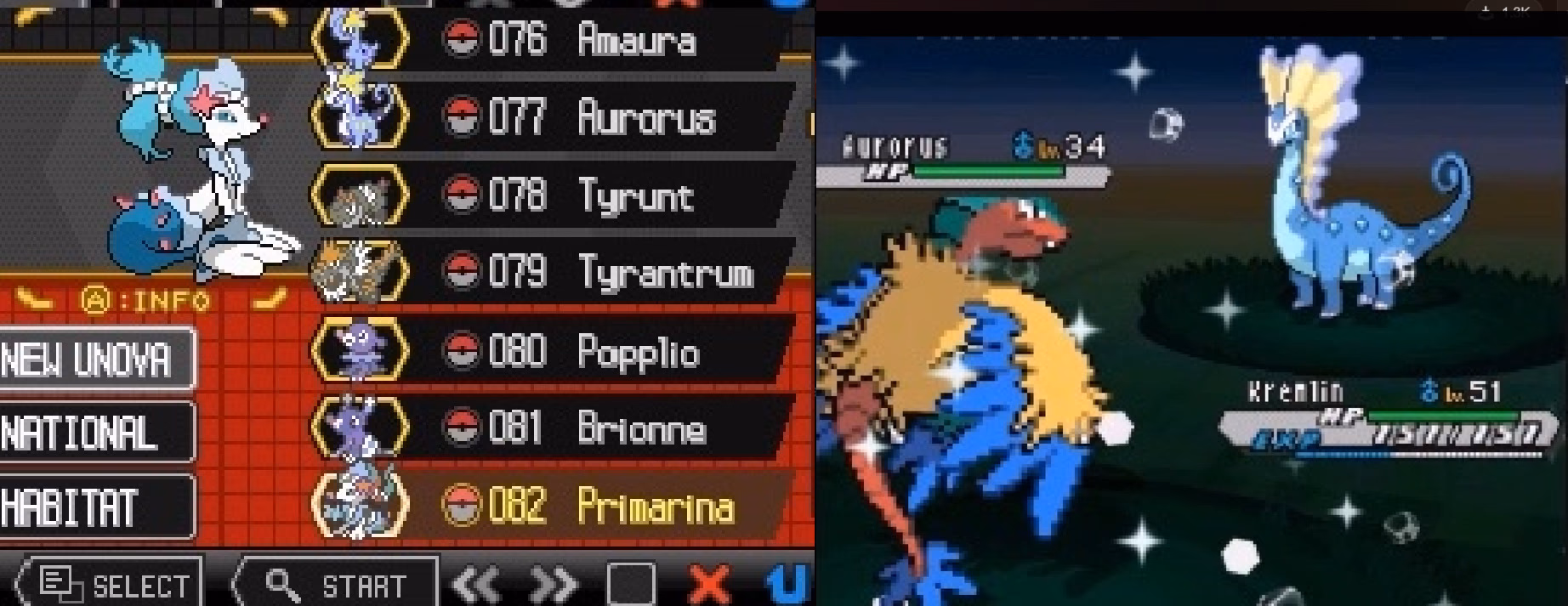 Pokémon Blinding White 2 (NDS) Gameplay Screenshot 1 - Gohan's Tips