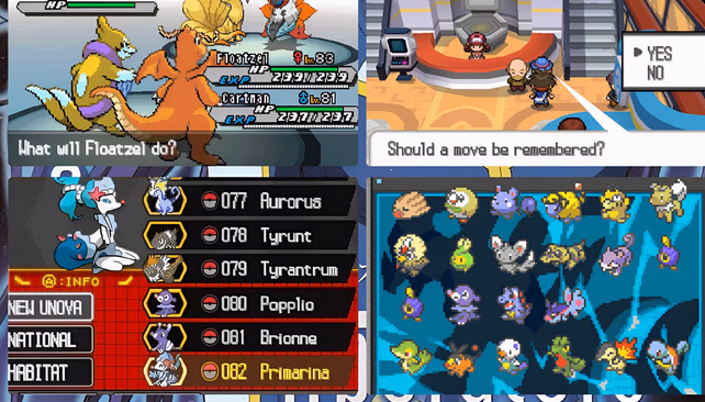 Pokémon Blinding White 2 (NDS) Gameplay Screenshot 5 - Gohan's Tips