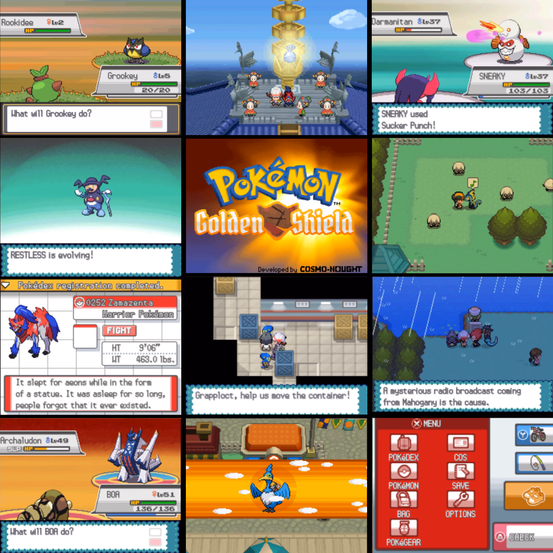 Pokémon Golden Shield (NDS) Gameplay Screenshot 1 - Gohan's Tips