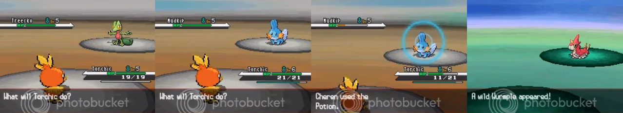 Pokémon Hoenn White EX (NDS) Gameplay Screenshot 3 - Gohan's Tips