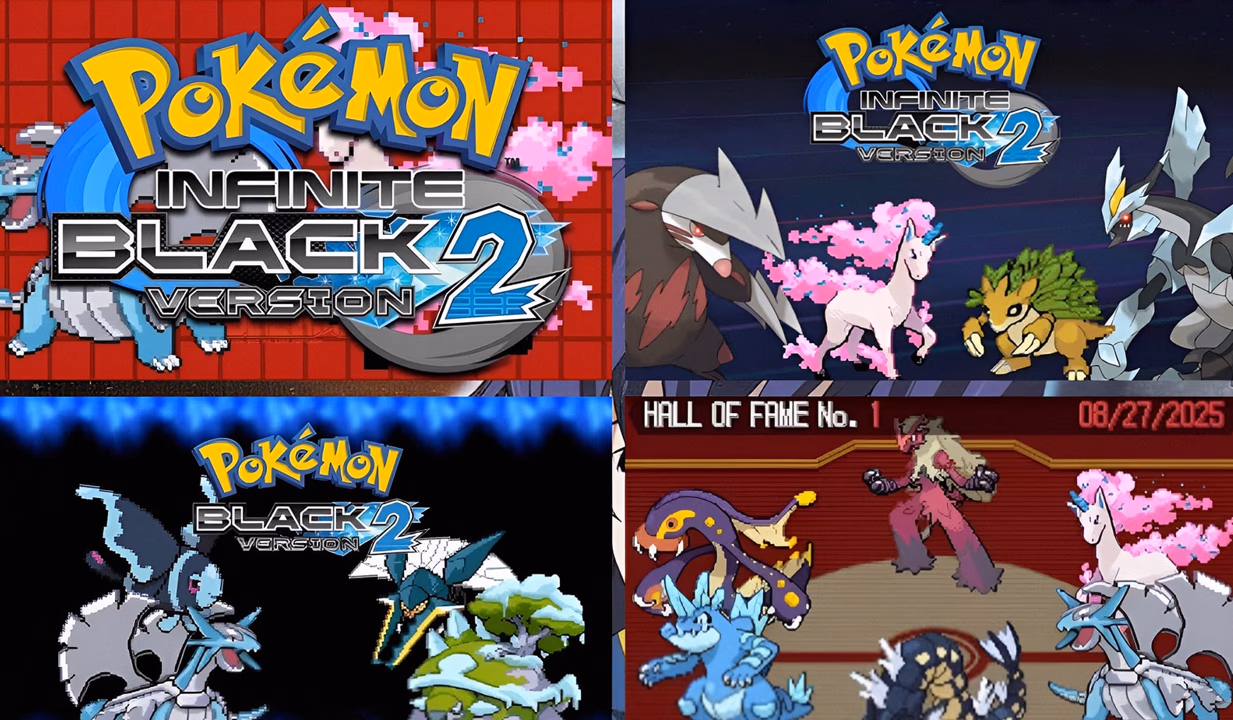 Pokémon Infinite Black 2 (NDS) Gameplay Screenshot 1 - Gohan's Tips