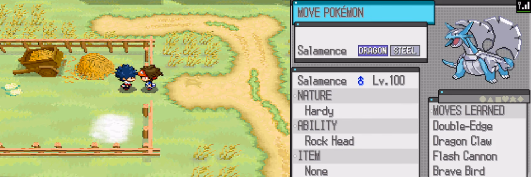 Pokémon Infinite Black 2 (NDS) Gameplay Screenshot 2 - Gohan's Tips