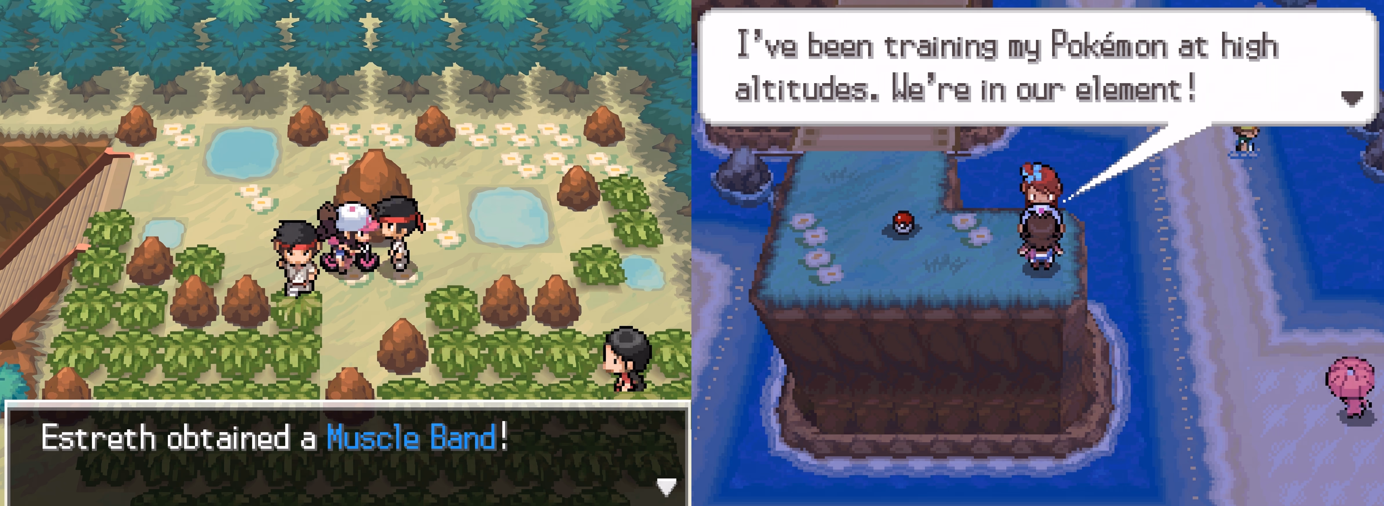 Pokémon Jetblack (NDS) Gameplay Screenshot 2 - Gohan's Tips