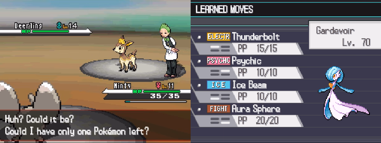 Pokémon Jetblack (NDS) Gameplay Screenshot 4 - Gohan's Tips