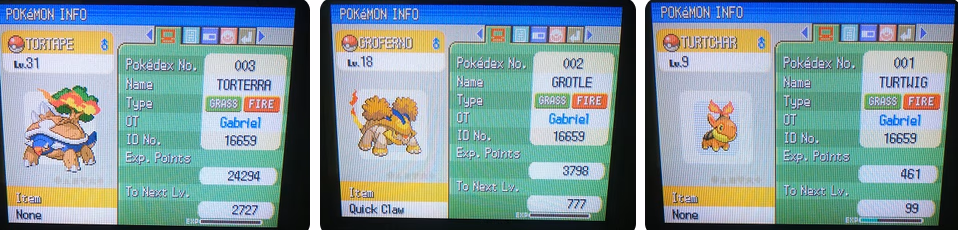 Pokémon Paradox Platinum (NDS) Gameplay Screenshot 1 - Gohan's Tips