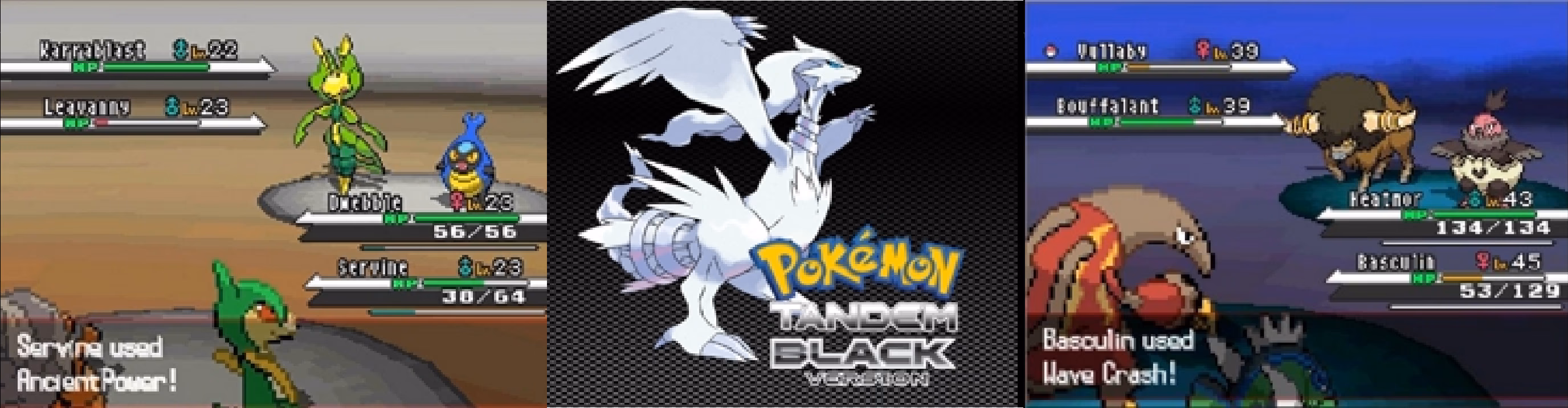 Pokémon Tandem Black (NDS) Gameplay Screenshot 1 - Gohan's Tips