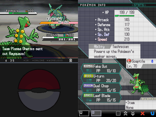 Pokemon Vintage White Plus (NDS) Gameplay Screenshot 3 - Gohan's Tips