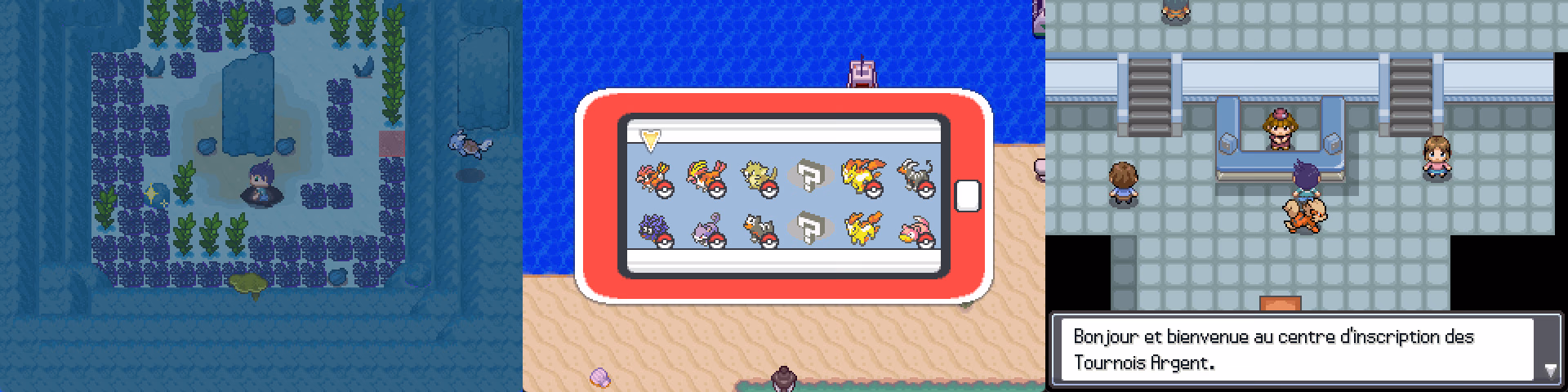 Pokémon Prisme (RPGXP) Gameplay Screenshot 3 - Gohan's Tips